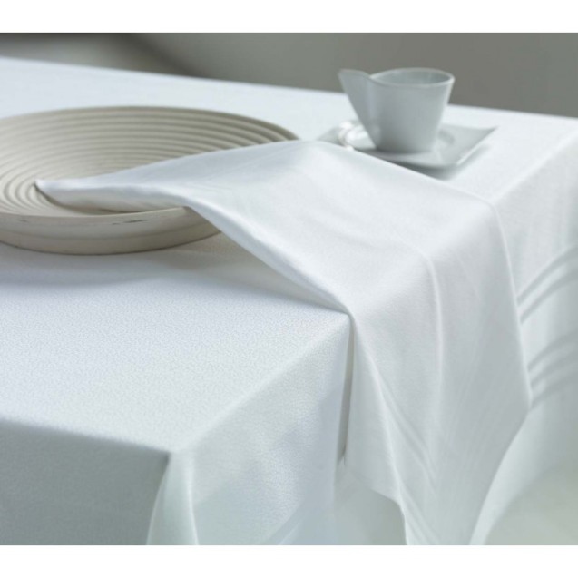 Πετσέτα Φαγητού Ξενοδοχείου Με Σατέν Μπορντούρα...