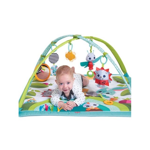 Εκπαιδευτικό Γυμναστήριο Tiny Love Gymini Sunny...