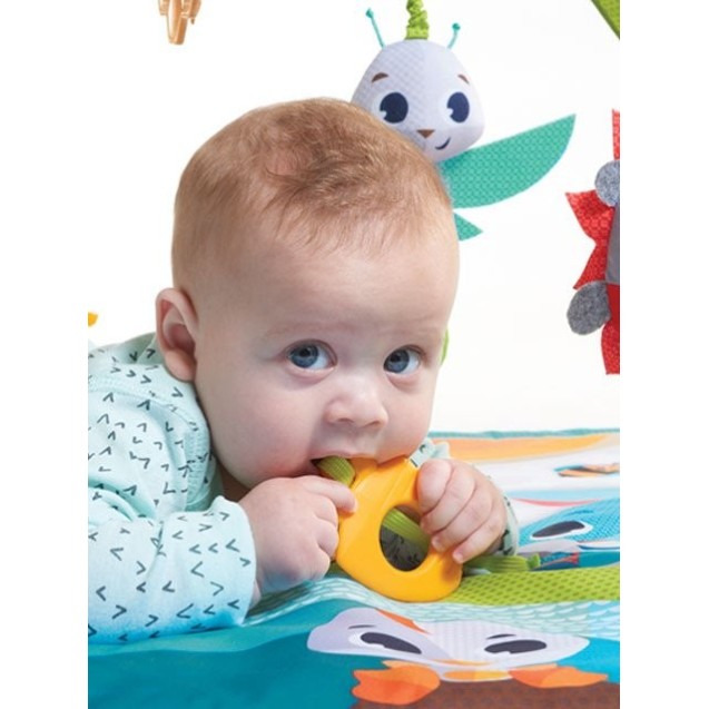 Εκπαιδευτικό Γυμναστήριο Tiny Love Gymini Sunny...