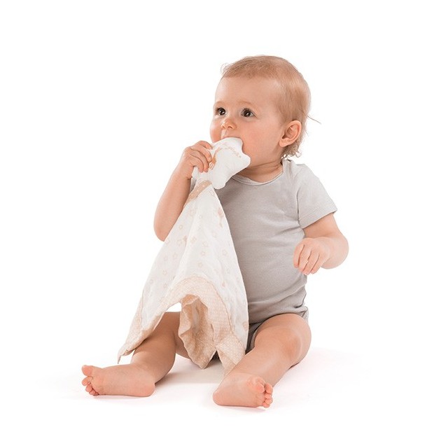 Πανάκι Παρηγοριάς με Κλιπ Πιπίλας & Μασητικό...