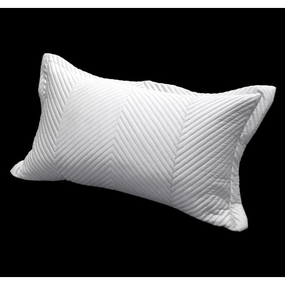 Μαξιλαροθήκη Διακόσμησης Guy Laroche Venere Silver 30x50