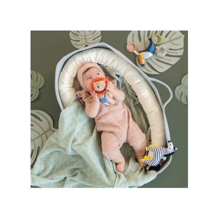 Κουδουνίστρα Taf Toys Dizi The Zebra T-12685