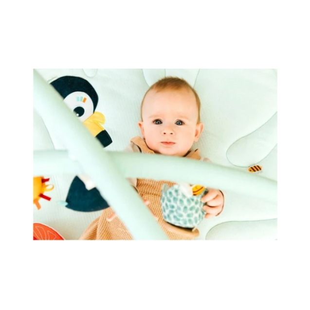 Στρωματάκι δραστηριοτήτων με γυμναστήριο...