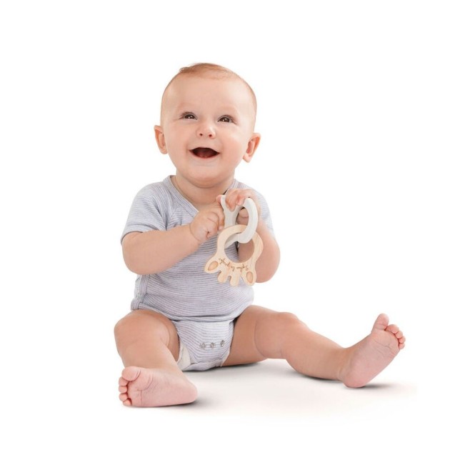 Οικολογικοί Δακτύλιοι Οδοντοφυΐας Σόφι...