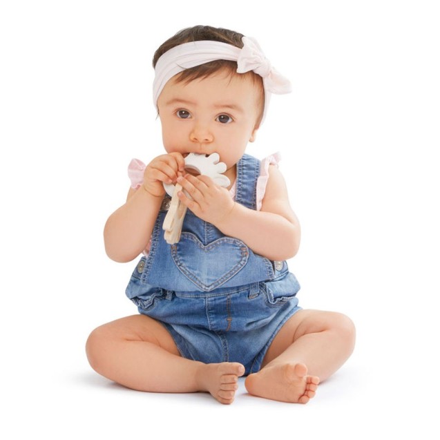 Οικολογικοί Δακτύλιοι Οδοντοφυΐας Σόφι...