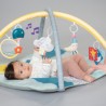 Γυμναστήριο Δραστηριοτήτων Taf Toys Magical Mini Moon Gym T-12655
