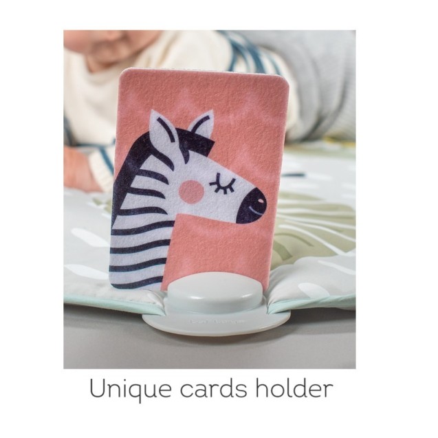 Βρεφικό Γυμναστήριο Taf Toys Savannah Super...