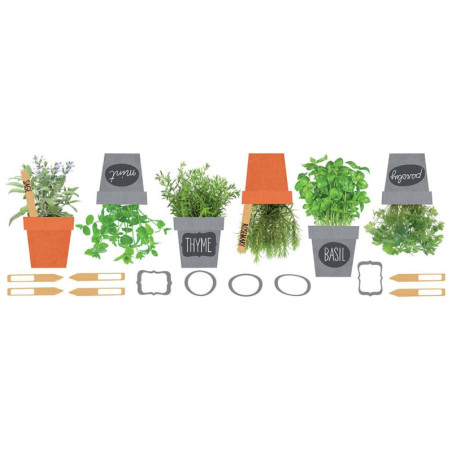 Αυτοκόλλητα Τοίχου Βινυλίου Ango Spices 58111