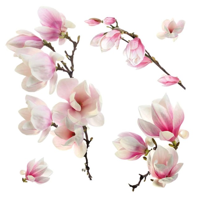 Αυτοκόλλητα Βινυλίου για Τζάμι Ango Magnolia 64006