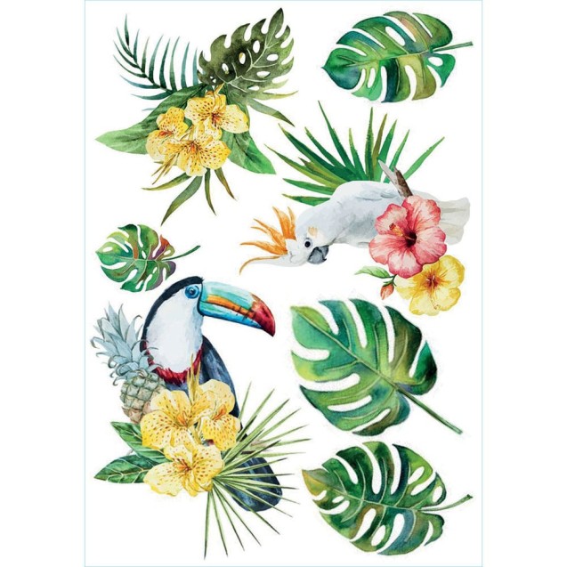 Αυτοκόλλητα Τοίχου Βινυλίου Ango Tropical Birds...