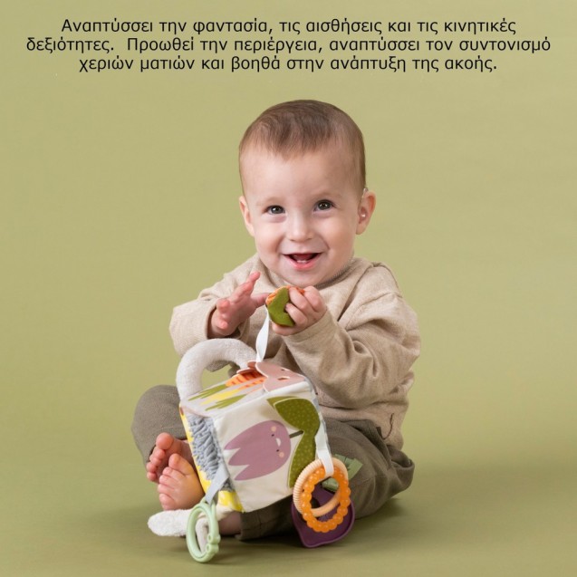 Κύβος Δραστηριοτήτων Taf Toys Urban Garden...