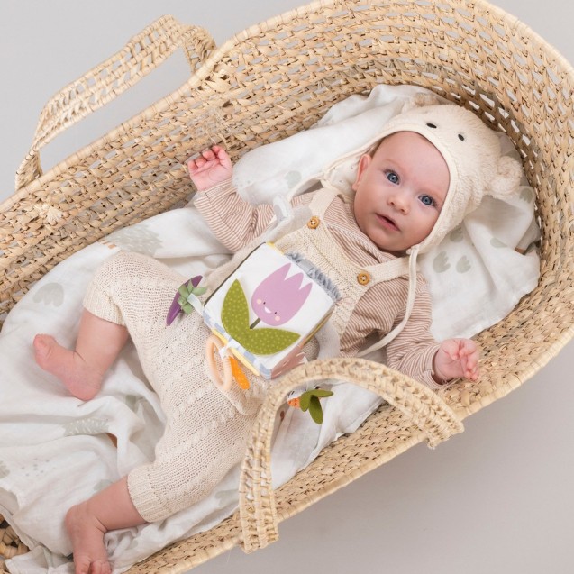 Κύβος Δραστηριοτήτων Taf Toys Urban Garden...