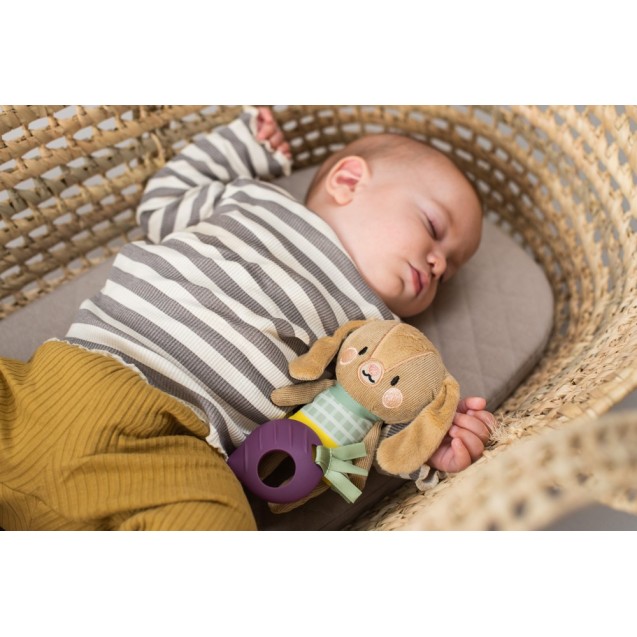 Κρεμαστό Παιχνίδι-Κουδουνίστρα με Μασητικό Taf...