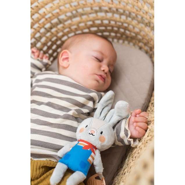 Κρεμαστό Παιχνίδι-Κουδουνίστρα με Μασητικό Taf...