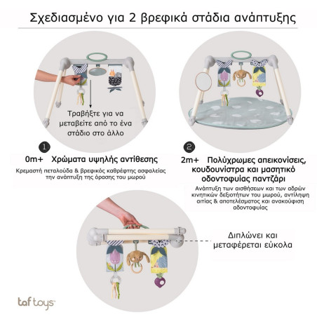 Φορητό Γυμναστήριο & Χαλάκι Δραστηριοτήτων Taf Toys Urban Garden Foldable Gym T-13075