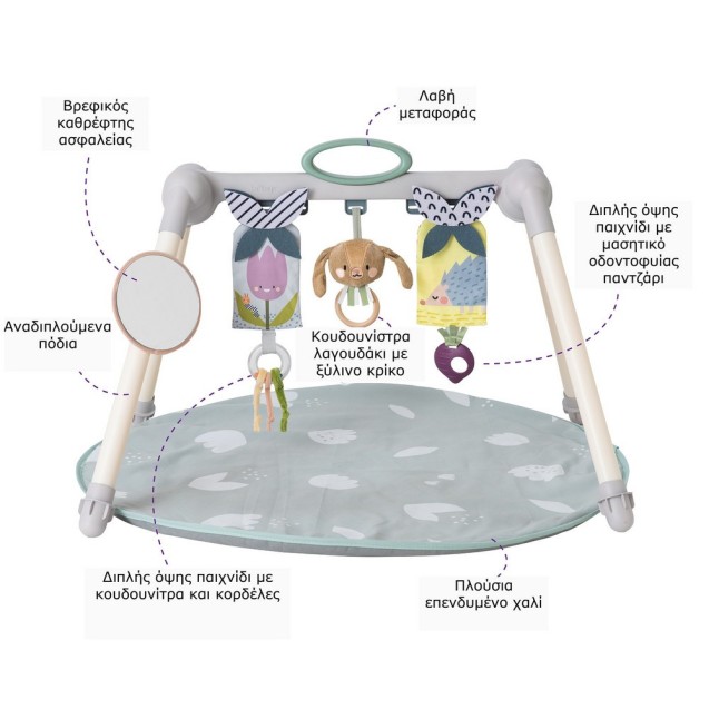 Φορητό Γυμναστήριο & Χαλάκι Δραστηριοτήτων Taf...