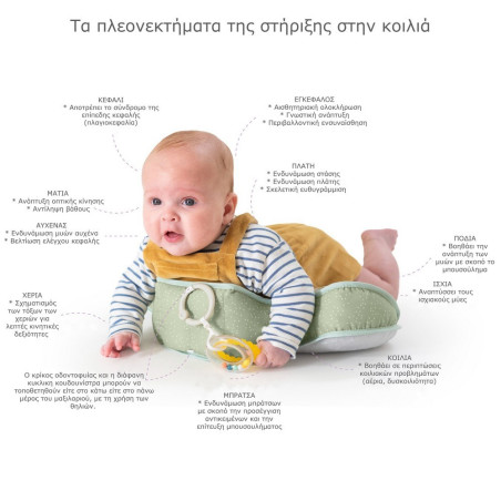 Βρεφικό Μαξιλαράκι Δραστηριοτήτων Taf Toys Tummy Time Pillow T-12895