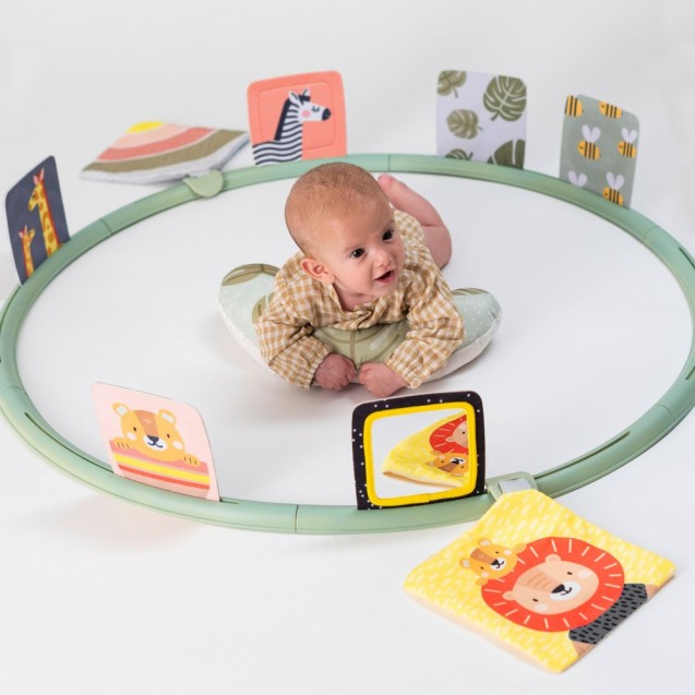 Κέντρο Δραστηριοτήτων Taf Toys Tummy Time...