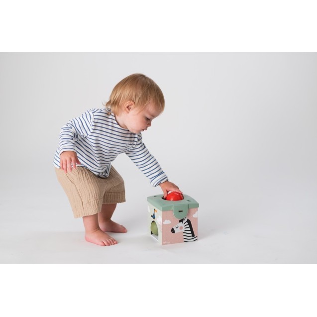 Παιχνίδι Δραστηριοτήτων Taf Toys Magic Box T-12965