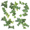 Αυτοκόλλητα Τοίχου Ango Ivy 54152