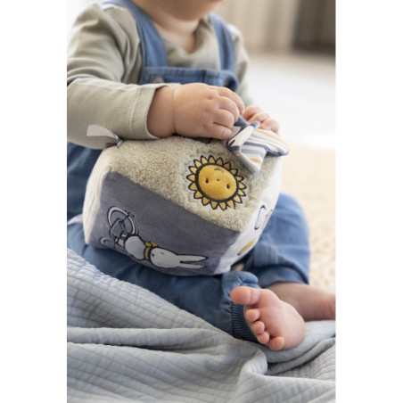 Κύβος Δραστηριοτήτων Miffy Fluffy Μέντα