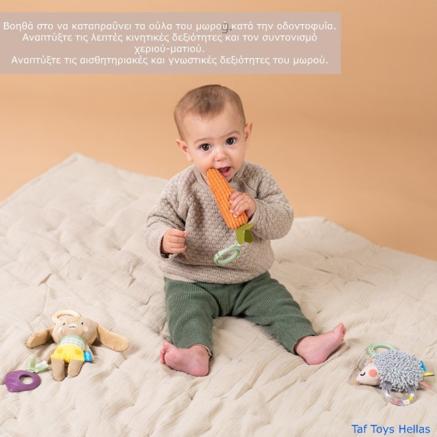 Σετ Κρεμαστά Παιχνίδια Δραστηριοτήτων Taf Toys...