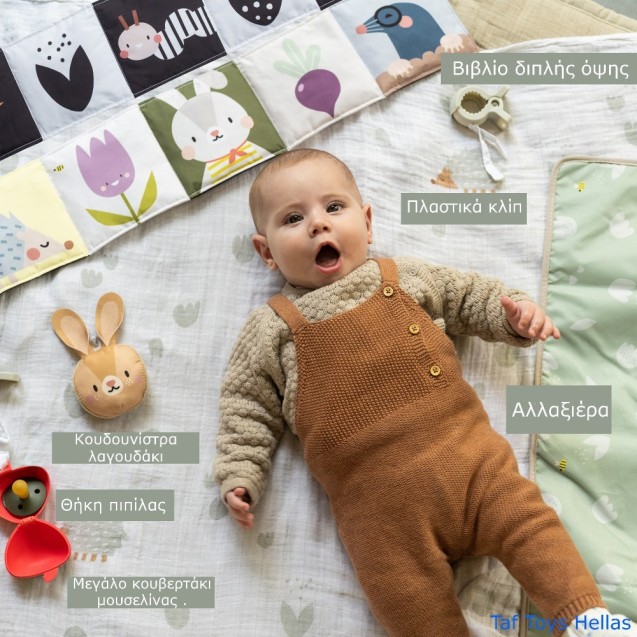 Σετ Δραστηριοτήτων Εξόδου Taf Toys Outdoors Kit...