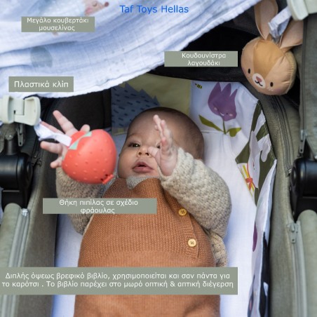 Σετ Δραστηριοτήτων Εξόδου Taf Toys Outdoors Kit T-13135