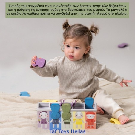 Εκπαιδευτικό Παιχνίδι Δραστηριοτήτων Taf Toys Bunny School Match & Count T-13215