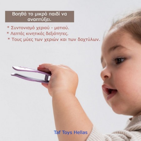 Εκπαιδευτικό Παιχνίδι Δραστηριοτήτων Taf Toys Bunny School Match & Count T-13215