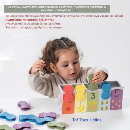 Εκπαιδευτικό Παιχνίδι Δραστηριοτήτων Taf Toys Bunny School Match & Count T-13215