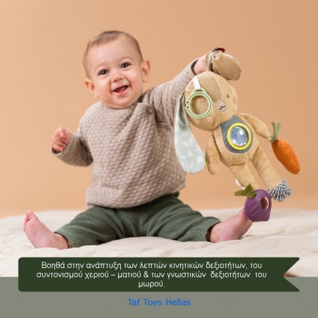 Παιχνίδι Δραστηριοτήτων Taf Toys Jenny T-13185