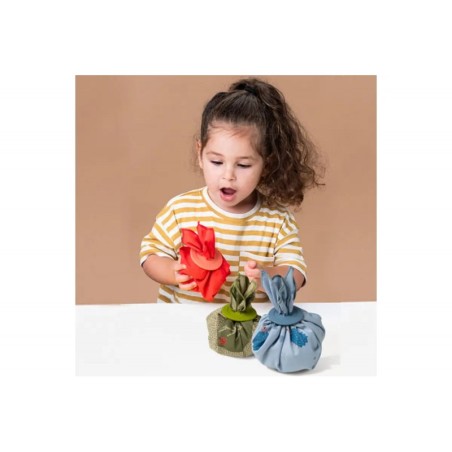 Εκπαιδευτικό Παιχνίδι Taf Toys Peek A Boo What Is Inside T-13335