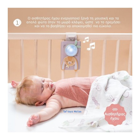 Μουσικό Παιχνίδι & Κουβερτάκι Taf Toys Bunny T-13305