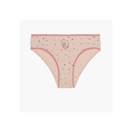 Σετ Παιδικά Σλιπάκια για Κορίτσι 3 Τεμαχίων Minerva Fox Princess Pink-Grey Stripes 42214-030 Μέγεθος - No4