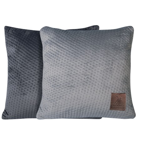 Μαξιλάρι Διακόσμησης Greenwich Polo Club 2795 42x42