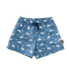 Μαγιό Βερμούδα Fresk με προστασία UV50 Dino 2 ετών FR-SW2408-10-86