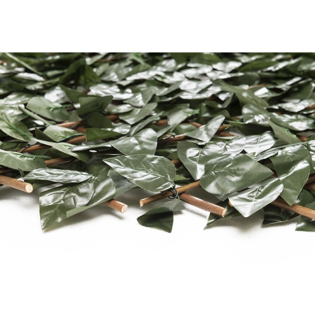 Πτυσσόμενη Πέργκολα Orlando 100 Χ 200 Mz186001α...