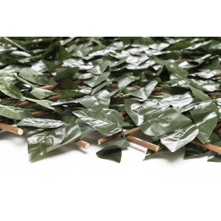 Πτυσσόμενη Πέργκολα Orlando 100 Χ 200 Mz186001α Newplan