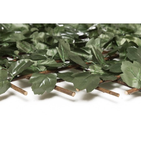 Πτυσσόμενη Πέργκολα Orlando 100 Χ 200 Mz186002b Newplan