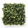 Πάνελ Φυλλωσιάς Berlin 50 Χ 50 A017 Photinia Newplan