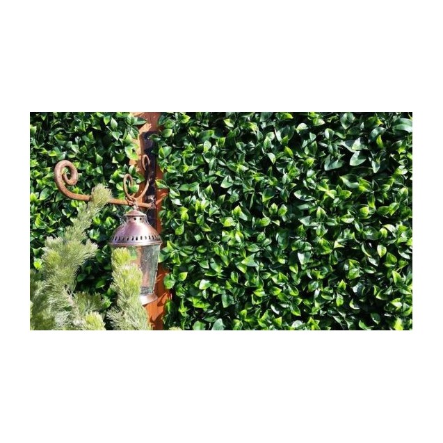 Πάνελ Φυλλωσιάς Berlin 50 Χ 50 A017 Photinia...