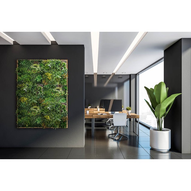 Κάθετος Κήπος  Paris 100 Χ 100 A074 Meadow Newplan