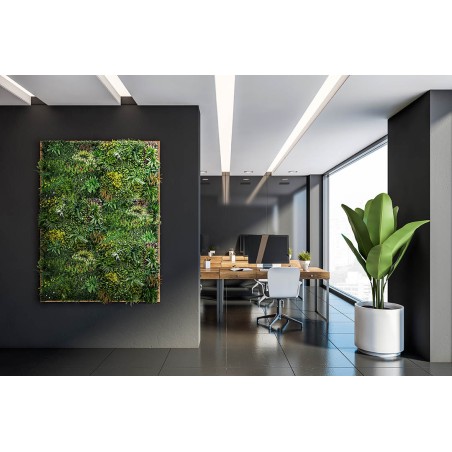 Κάθετος Κήπος  Paris 100 Χ 100 A074 Meadow Newplan