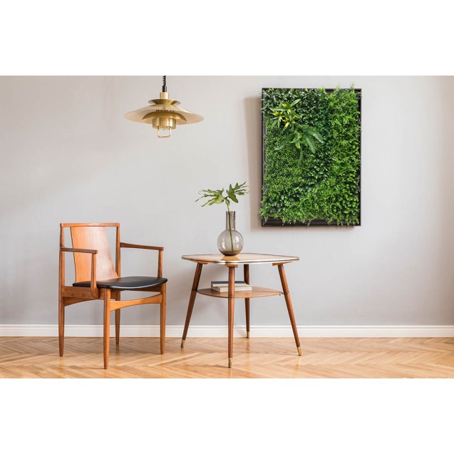 Κάθετος Κήπος Amsterdam 100 Χ 100 A110 Beauty...