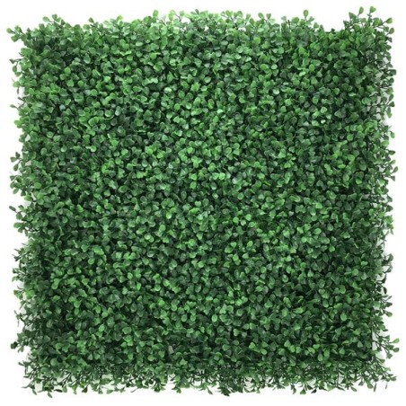 Πάνελ Φυλλωσιάς Berlin 50 Χ 50 A146 Boxwood Newplan