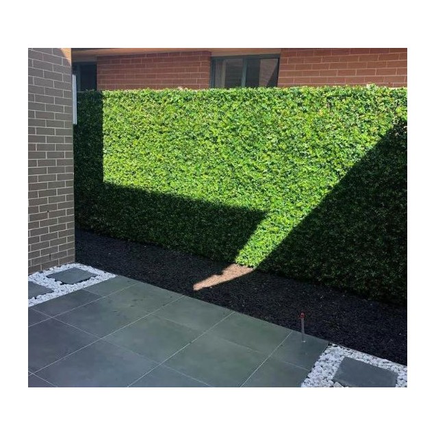 Πάνελ Φυλλωσιάς Bilbao 50 Χ 50 F028 Summer...