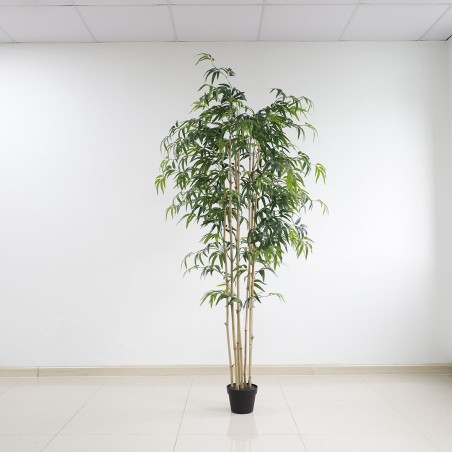 Bamboo  Np0070_210 Ύψος 210cm Newplan