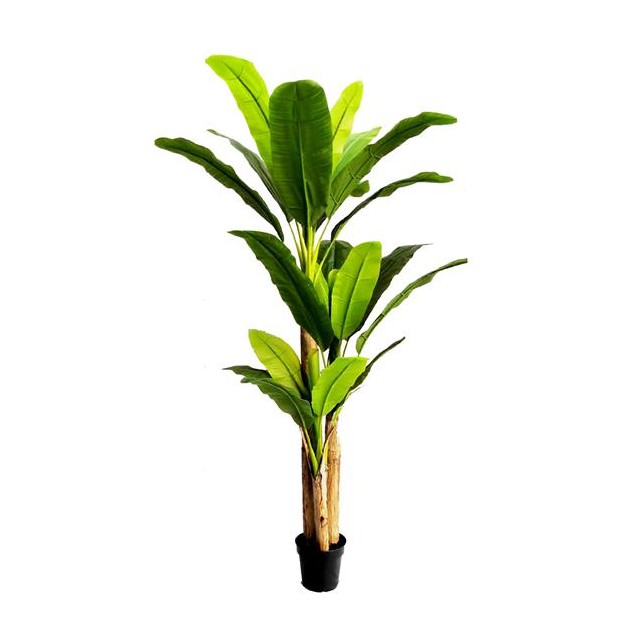 Banana Tree Np017_240_22  Ύψος 240cm Newplan