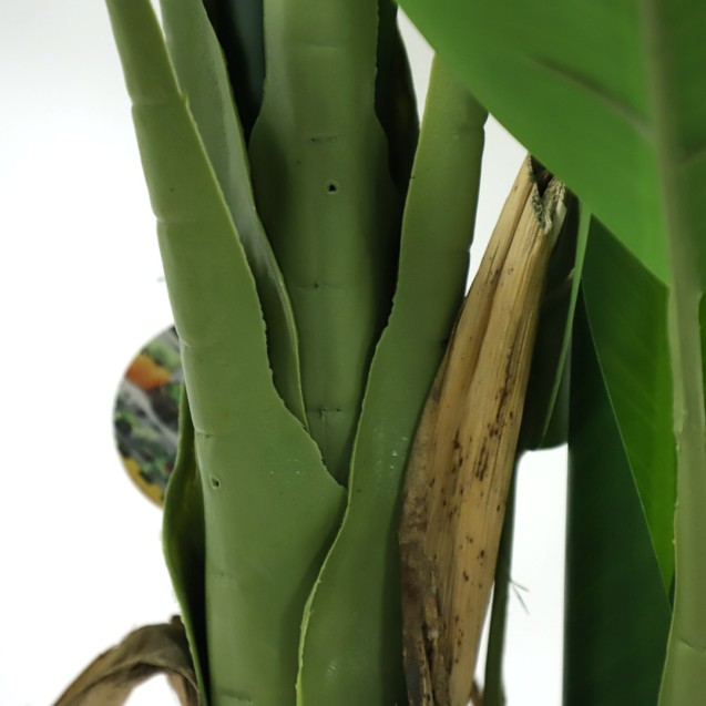 Banana Tree Np017_240_22  Ύψος 240cm Newplan